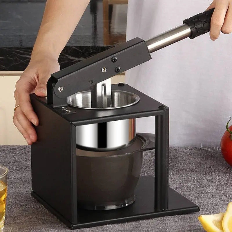 Hand-Operated Stainless Steel Fruit Juicer - ChaCha Kitchen-