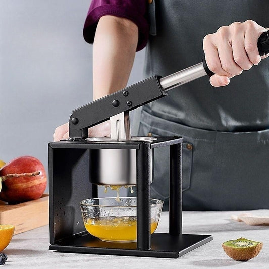 Hand-Operated Stainless Steel Fruit Juicer